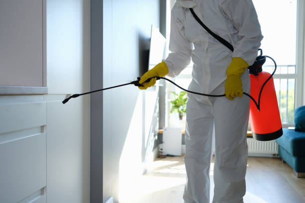 Best HVAC Mold Inspection and Cleaning  in Yuipa, CA
