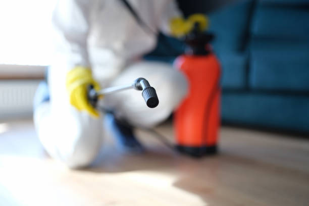Best Dehumidification Services  in Yuipa, CA