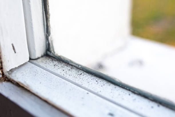 Best Mold Odor Removal Services  in Yuipa, CA