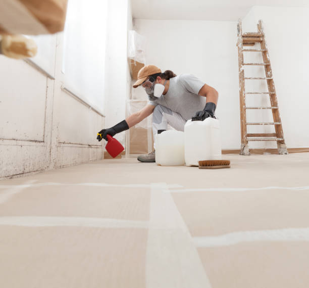 Best Airborne Mold Testing  in Yuipa, CA
